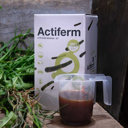 Actiferm Bag-in-Box