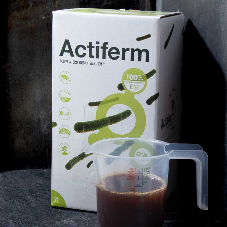 Actiferm Bag-in-Box