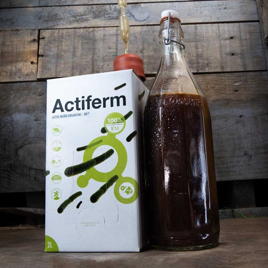 Actiferm Bag-in-Box