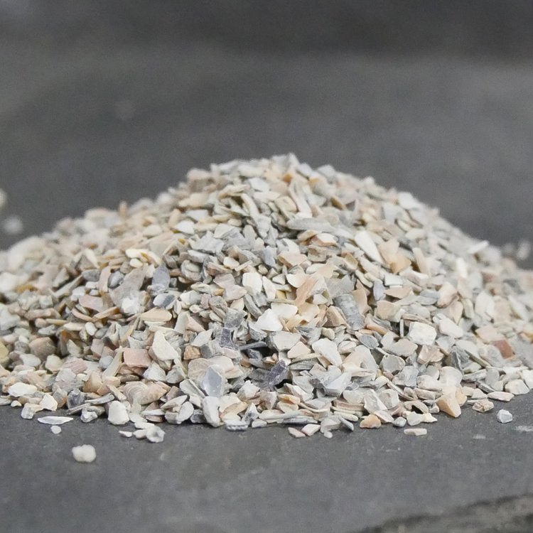 Aegir Seashell Grit