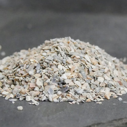 Aegir Seashell Grit