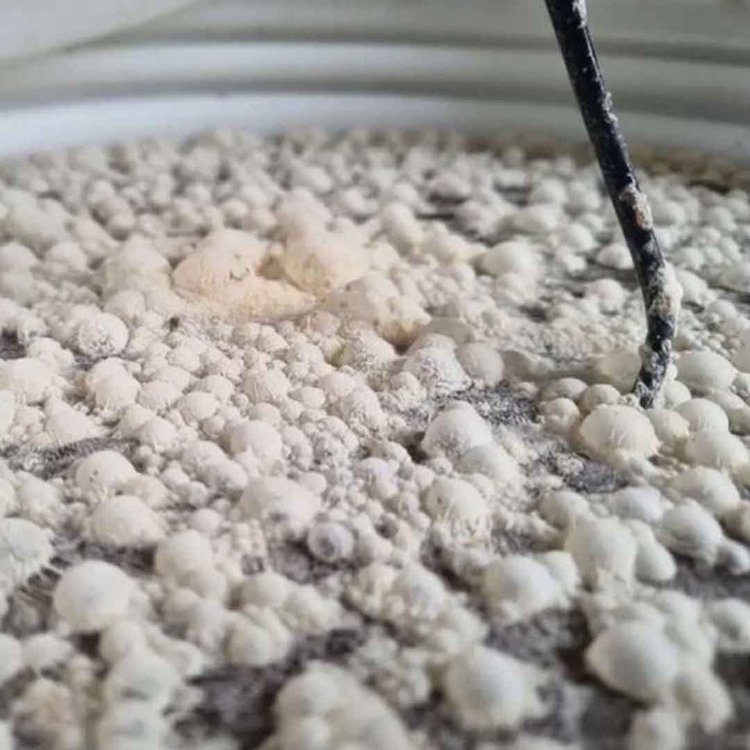 Fermenter with Heating Element