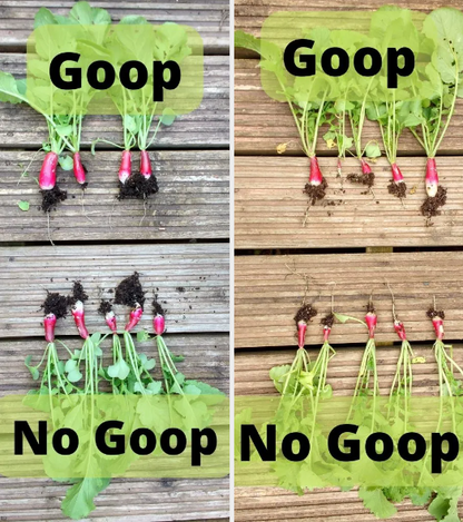 The Goop